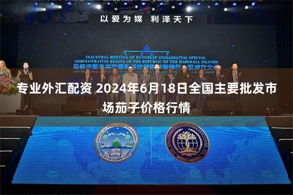 专业外汇配资 2024年6月18日全国主要批发市场茄子价格行情