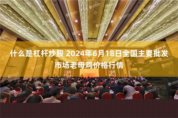 什么是杠杆炒股 2024年6月18日全国主要批发市场老母鸡价格行情