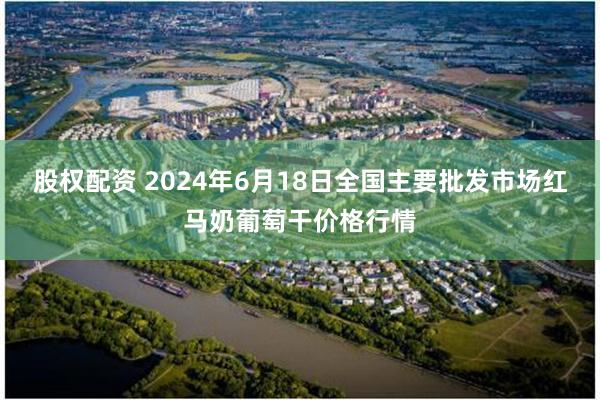 股权配资 2024年6月18日全国主要批发市场红马奶葡萄干价格行情