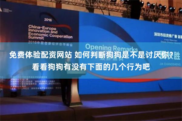 免费体验配资网站 如何判断狗狗是不是讨厌你？看看狗狗有没有下面的几个行为吧