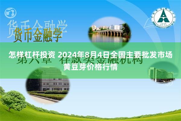 怎样杠杆投资 2024年8月4日全国主要批发市场黄豆芽价格行情