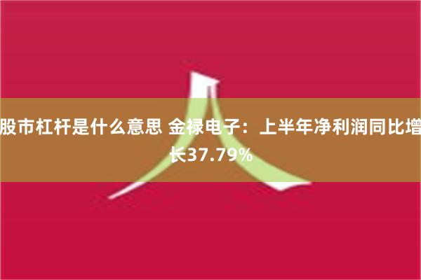 股市杠杆是什么意思 金禄电子：上半年净利润同比增长37.79%