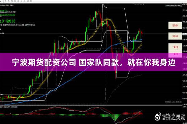 宁波期货配资公司 国家队同款，就在你我身边