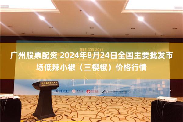 广州股票配资 2024年8月24日全国主要批发市场低辣小椒（三樱椒）价格行情