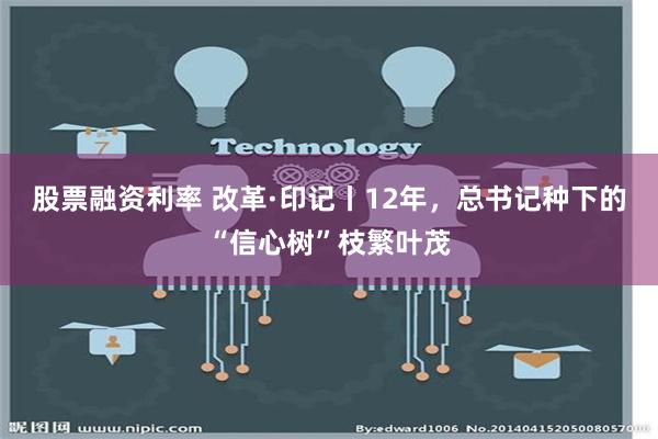 股票融资利率 改革·印记丨12年，总书记种下的“信心树”枝繁叶茂