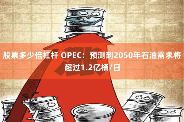 股票多少倍杠杆 OPEC：预测到2050年石油需求将超过1.2亿桶/日