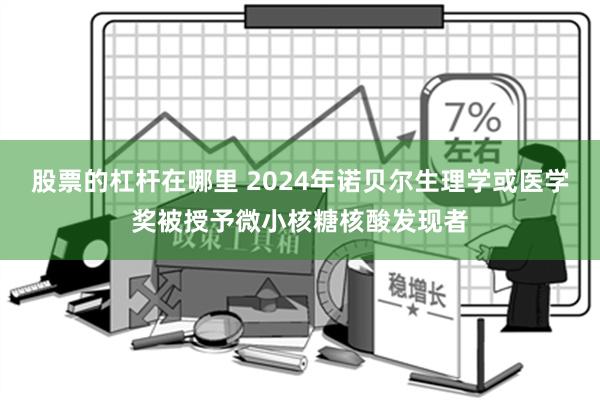 股票的杠杆在哪里 2024年诺贝尔生理学或医学奖被授予微小核糖核酸发现者