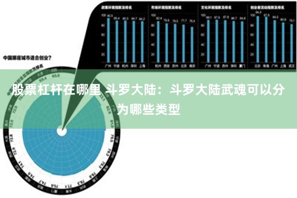 股票杠杆在哪里 斗罗大陆：斗罗大陆武魂可以分为哪些类型