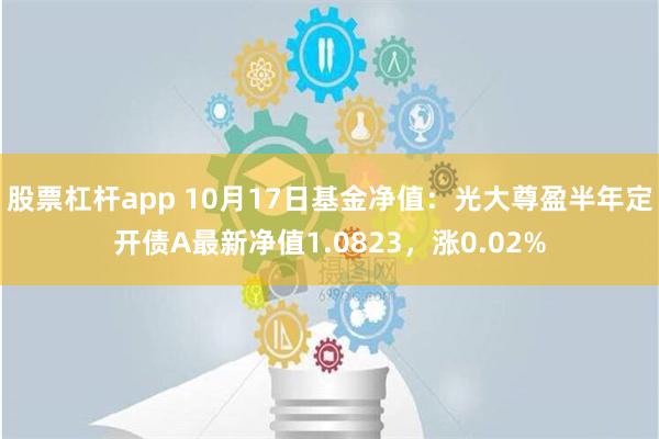 股票杠杆app 10月17日基金净值：光大尊盈半年定开债A最新净值1.0823，涨0.02%