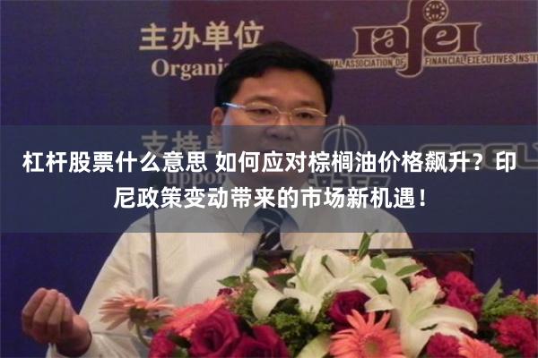 杠杆股票什么意思 如何应对棕榈油价格飙升？印尼政策变动带来的市场新机遇！