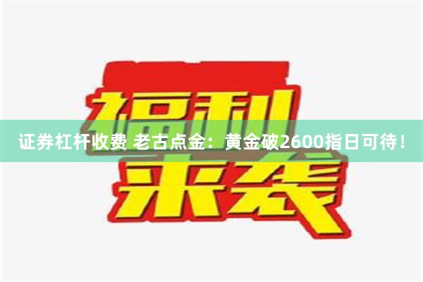 证券杠杆收费 老古点金：黄金破2600指日可待！