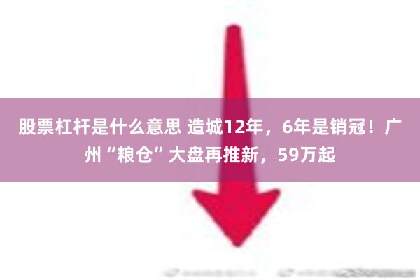 股票杠杆是什么意思 造城12年，6年是销冠！广州“粮仓”大盘再推新，59万起