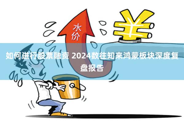 如何进行股票融资 2024数往知来鸿蒙板块深度复盘报告