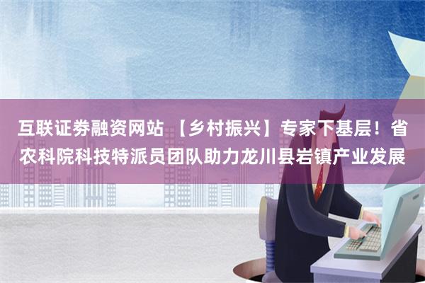 互联证劵融资网站 【乡村振兴】专家下基层！省农科院科技特派员团队助力龙川县岩镇产业发展