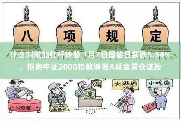 什么叫做加杠杆炒股 1月2日国能日新跌5.54%，招商中证2000指数增强A基金重仓该股