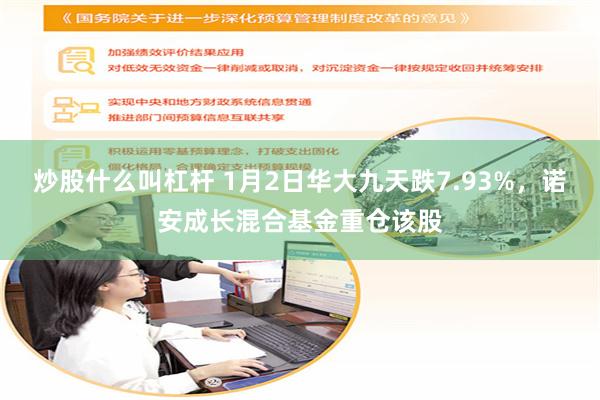 炒股什么叫杠杆 1月2日华大九天跌7.93%，诺安成长混合基金重仓该股