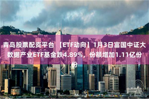 青岛股票配资平台 【ETF动向】1月3日富国中证大数据产业ETF基金跌4.89%，份额增加1.11亿份