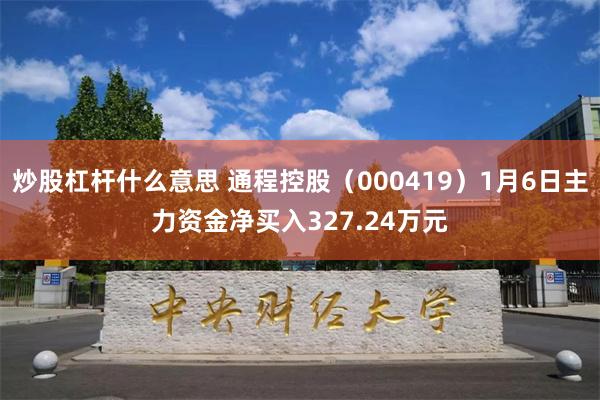 炒股杠杆什么意思 通程控股（000419）1月6日主力资金净买入327.24万元