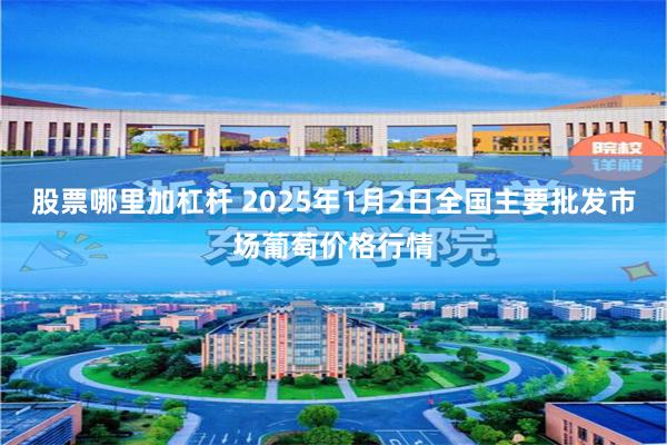 股票哪里加杠杆 2025年1月2日全国主要批发市场葡萄价格行情